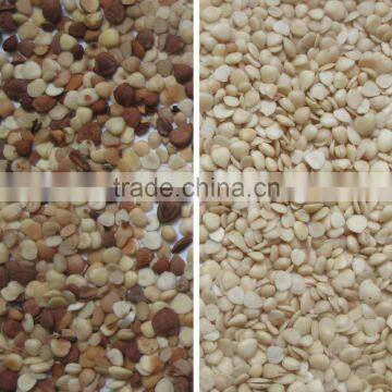 Grain,Wheat,Rice,Seeds,Dehydrated Vegetable,Recycle Plastic Color Sorter photo-2