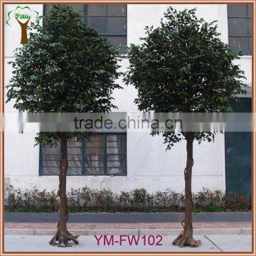 Customized Real Wood Ficus Tree photo-2