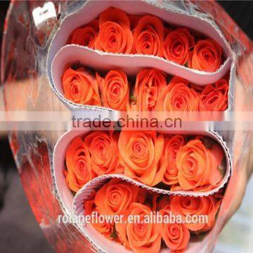 wholesale Fresh cut flower buyer fresh anthurium rose yunnan all types of flowers rose in best quality