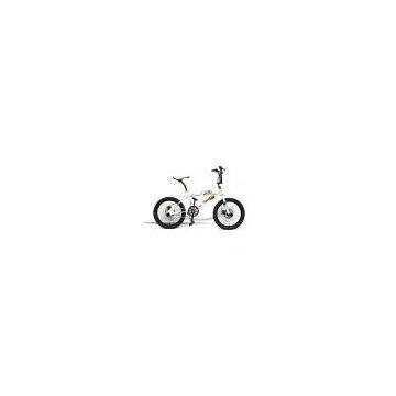 20 Freestyle Bike