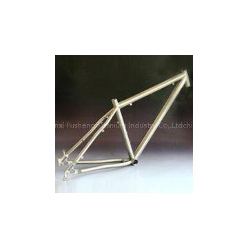 Titanium Mountain Bike Frame