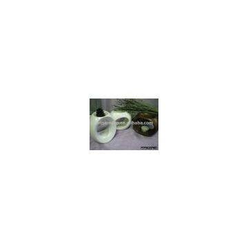 Oil Burner