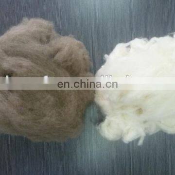 dehaired raccoon hair natural brown and degreased white for spinning yarn