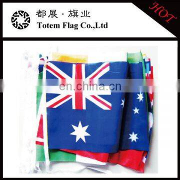 100% Polyester Printing Bunting String National Flag