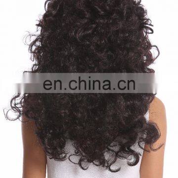 Carnival Crazy Wigs for Lady P-W202 photo-4