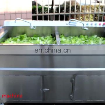 Professional hotel ozone air bubble vegetable apple berry washer machine