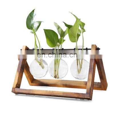 Glass and Wood Vase Planter Terrarium Table Desktop Plant