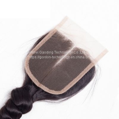 Natrual Color Loose Wave 4x4 Lace Human Hair Closure