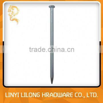 Made In China Galvanized Concrete Nails/Steel Nails photo-3