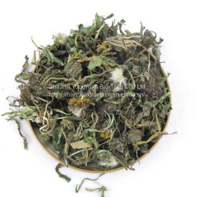 Dandelion Extract, Taraxacum officinale root Extract, Dandelion flavone, feed adiitive, antibacterial, Yongyuan Bio