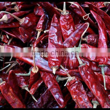 Indian dried chili with stem