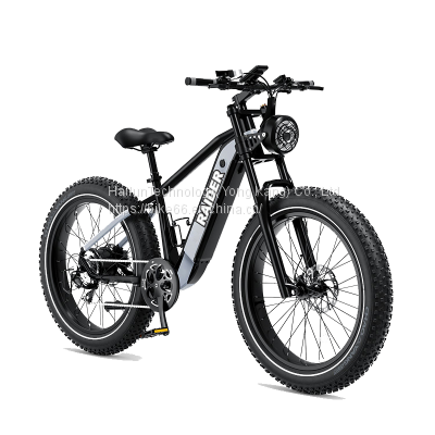 Wholesale CE Certification 36v 500w Electric Bike Ebike Fat Electric Bicycle Support Customization photo-4