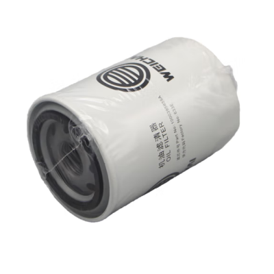 Hot Selling High Quality Fuel Filters 1000395855 Oil Filter for Wei Chai Top Construction Machinery Parts photo-6