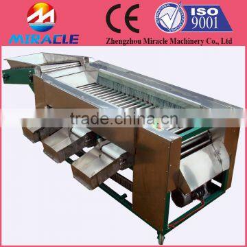 Red dates size grading machine from date deep process machinery