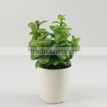 Natural looking ornamental artificial plants mini succulent plants wholesale