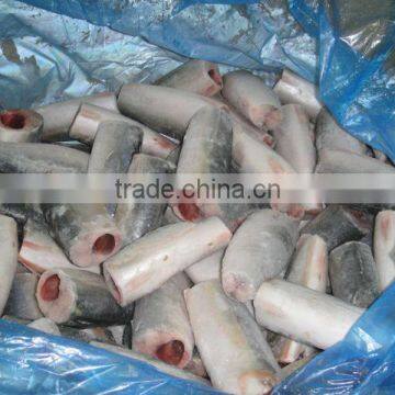 Pacific mackerel HGT Frozen Mackerel