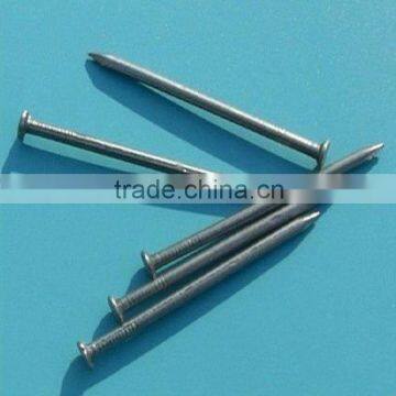 Polised common nails(manufactuer)