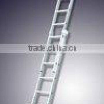 Competitive price 2-section extension ladder with high quality