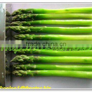 2013 Frozen Asparagus