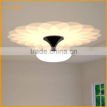 Modern Designed LED Ceiling Lamp