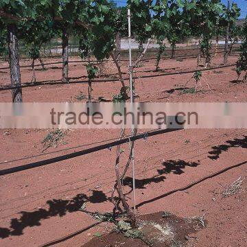 Banana ,folwer, fruits, trees good quality farm drip irrigation systems