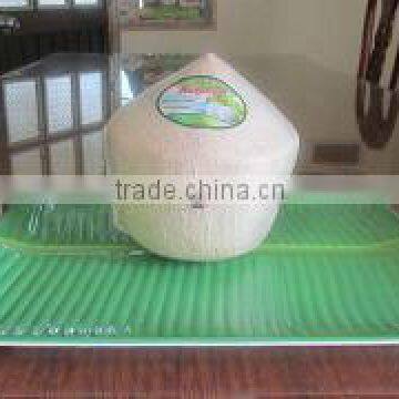 Fresh young coconut-Bentre