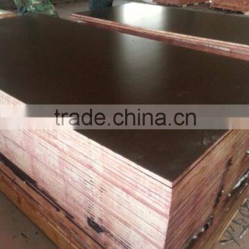linyi company black film faced plywood