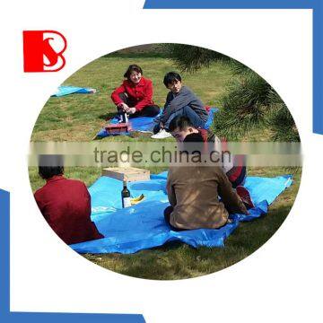 China pe Tarpaulin Cheap Tarpaulin, Warterproof Insulated Tarpaulin Tarp photo-6