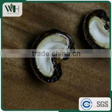 2016 Newest Cambodia Shell Attached Cashew Nut photo-3