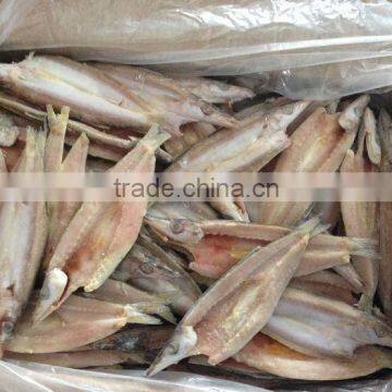 New Arrival Frozen Silver Sillago (Lady Fish) for You