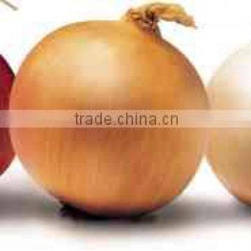 Red Onion