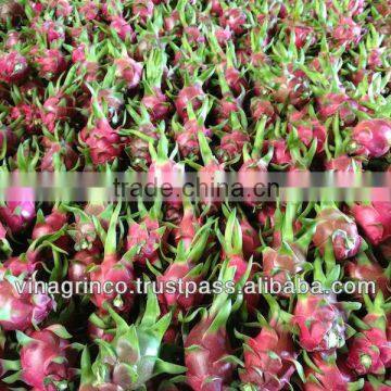 Fresh Dragon Fruit photo-3