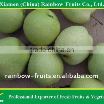 Chinese Pear