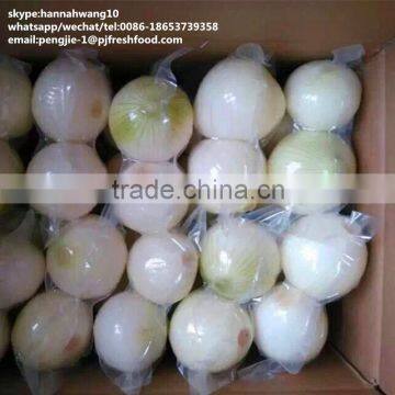 2016 New Crop Fresh Peeled Onion