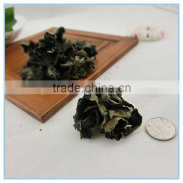 Dried Wood Ear Fungus Chinese Food