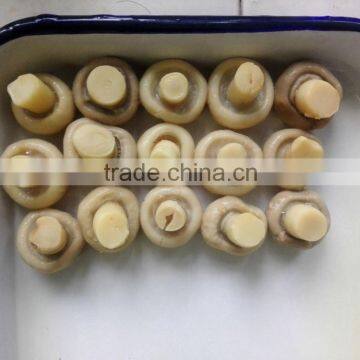 CANNED BUTTON MUSHROOMS WITH SALTY FLAVOR