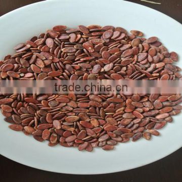 Raw red watermelon seeds top quality for human