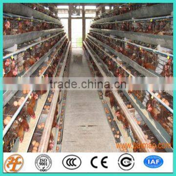 A type 4 tiers 160chickens full automatic high quality egg chicken cage