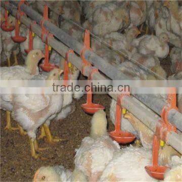 Automatic Chicken Raising Equipment