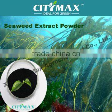 HOT!!! organic fertilizer kelp extract fucoxanthin powder