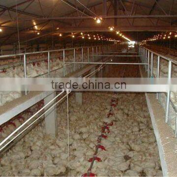 poultry farm equipment for broilers with high quality