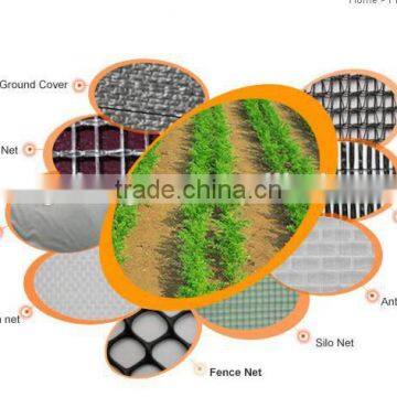 colored anti bird nets/net mesh/protection net