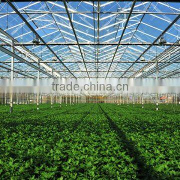 UV Resistance Flower Greenhouses,farm Hothouses, Glasshouse Big Shed Made in China photo-3