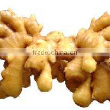 OULENO Manufacturers Supply Multifunctional Cutting Cut Ginger Siji Qiecai Machine Cut Bamboo Shoots and Ginger Shred Sausage ca photo-4