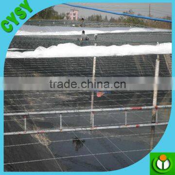 Waterproof Liner HDPE Geomembrane of Cheap Price for Pond and Lake Dam photo-2