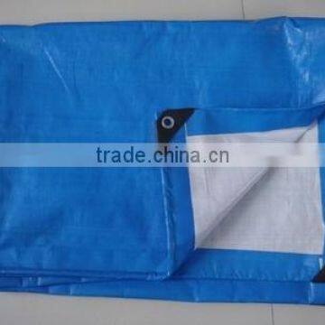 Customized Corrosion Resistant Manta Polyester Waterproof Fabric pe Tarpaulin photo-2