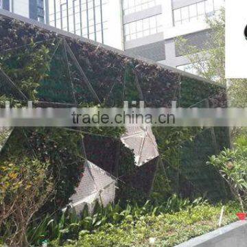 PV290 plastic green wall container,vertical wall ,Automatic irrigation,indoor and outdoor