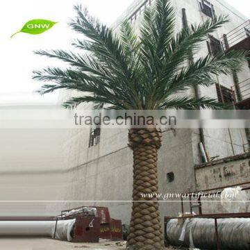 GNW APM015 decorative artificial royal palm tree 5m high for outdoor landscape decoration