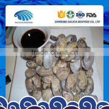 Frozen Cooked Baby Clam Size 31-40