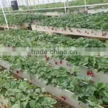 Space Saving Vertical Hydroponics photo-2